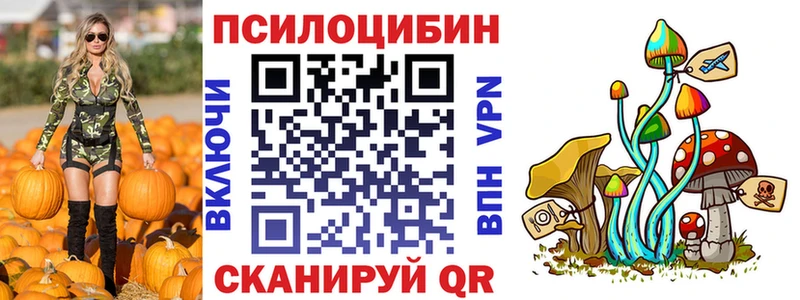 Псилоцибиновые грибы Cubensis  купить   Лакинск 
