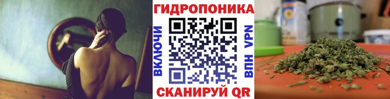 Бошки марихуана индика  Лакинск 